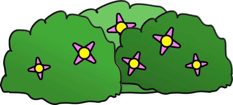 Flower Bush